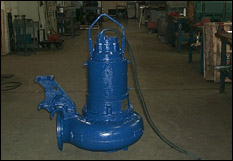 Submersible Pump